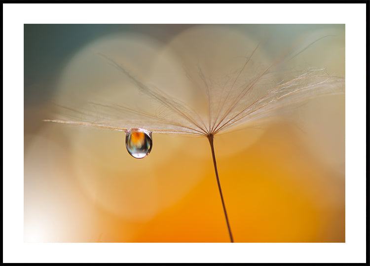 Kleine Nachtmusik...
