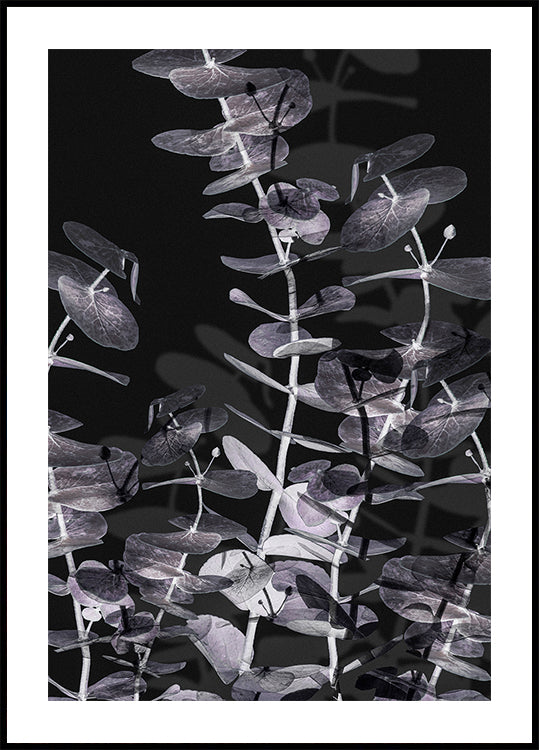 Eukalyptus-Negativ-Nr.2-Poster