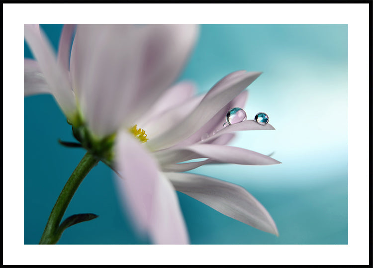 In türkiser Gesellschaft