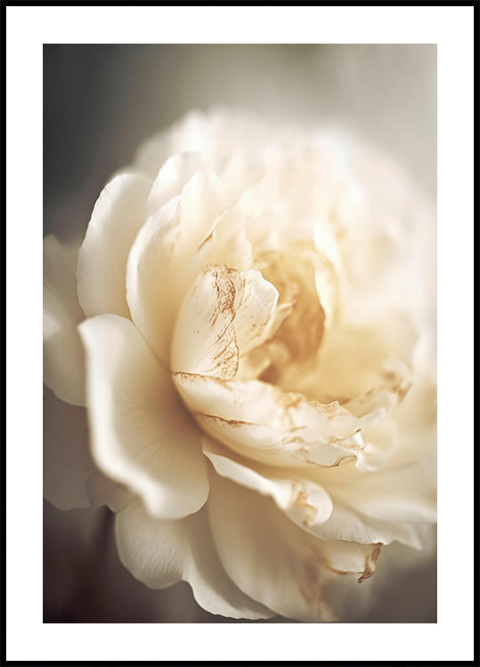 Ätherische Blüte