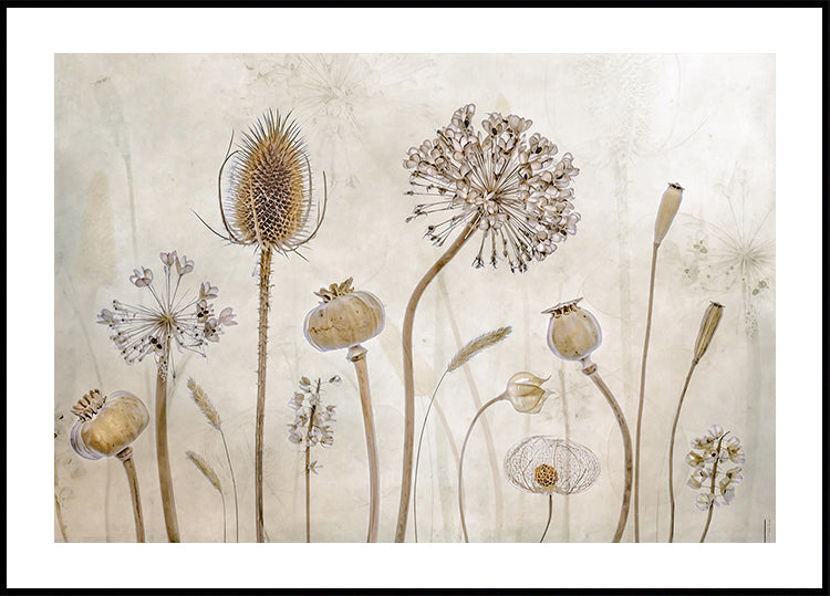 Poster zum Älterwerden