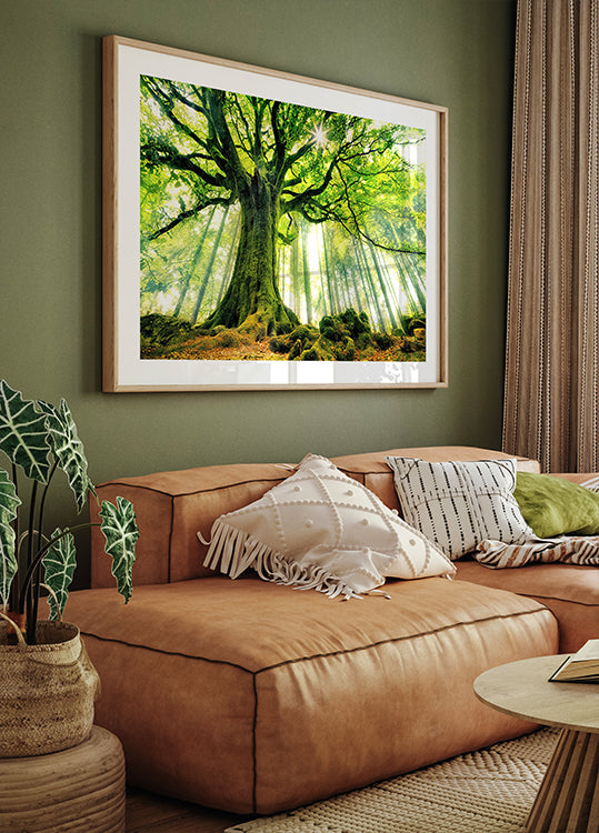 Ponthus' Buchenplakat