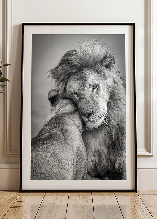 Afrikanische Liebe! Poster