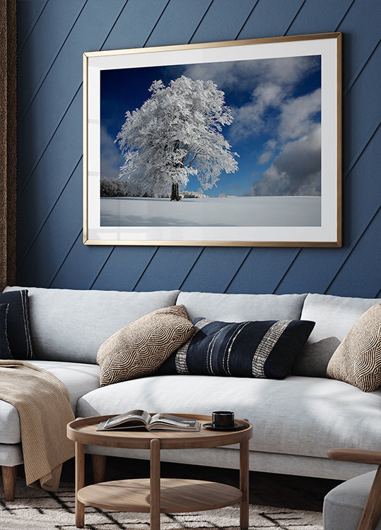 Weiße Windbuche im Schwarzwald