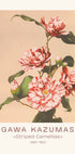 Ogawa Kazumasa, Striped Camellias Plakat - Posterbox.dk
