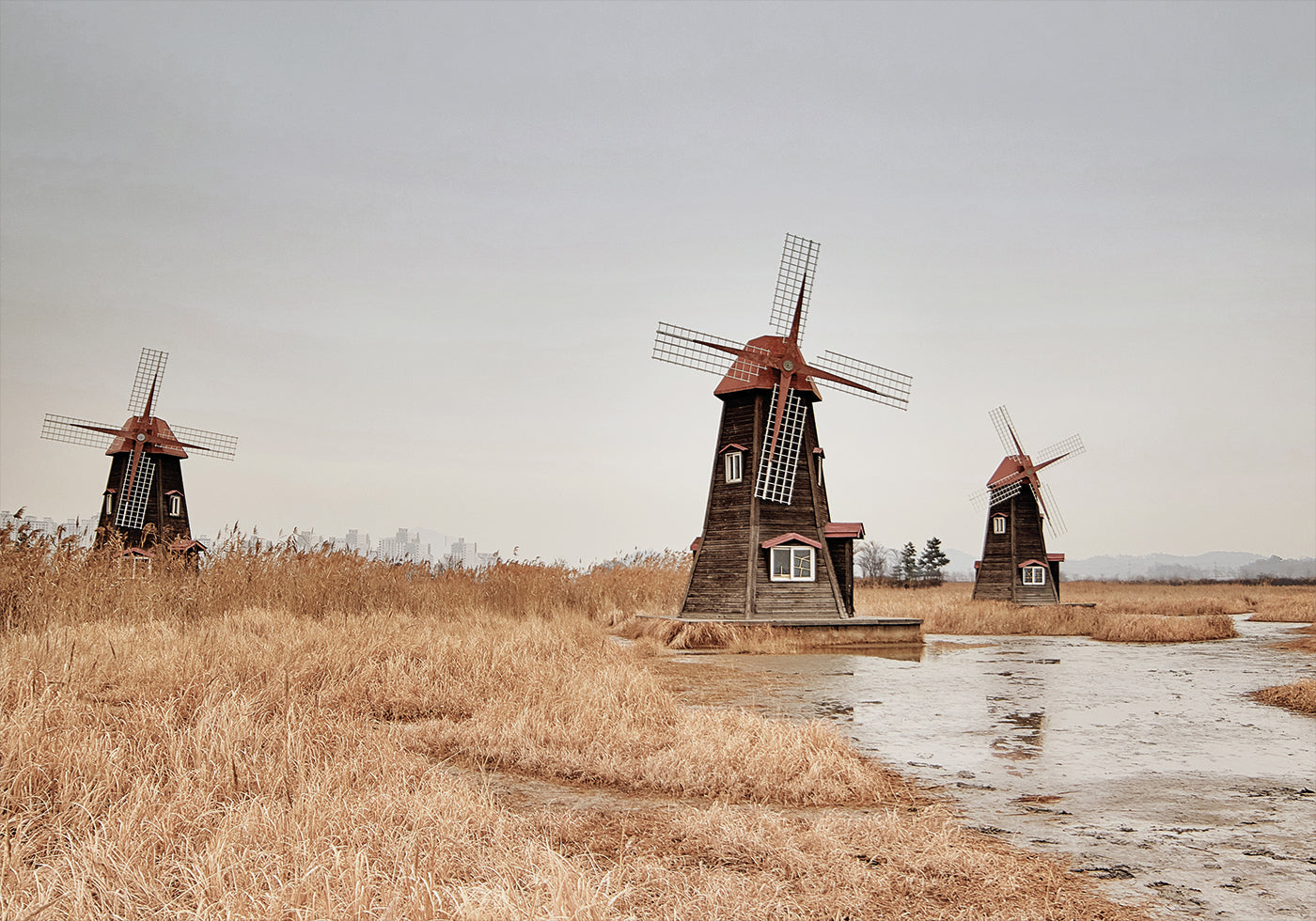 Old Windmills in the Countryside Plakat - Posterbox.dk