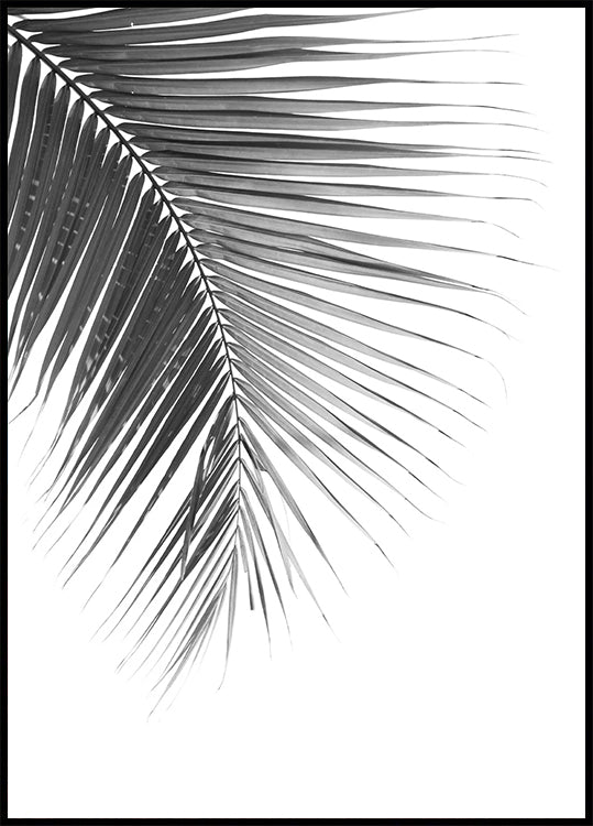 Palm Leaf in Monochrome Plakat - Posterbox.dk