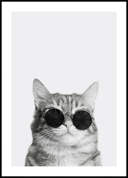Sophisticated Feline in Sunglasses Plakat - Posterbox.dk