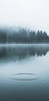 Water Ripples and Foggy Forest Plakat - Posterbox.dk