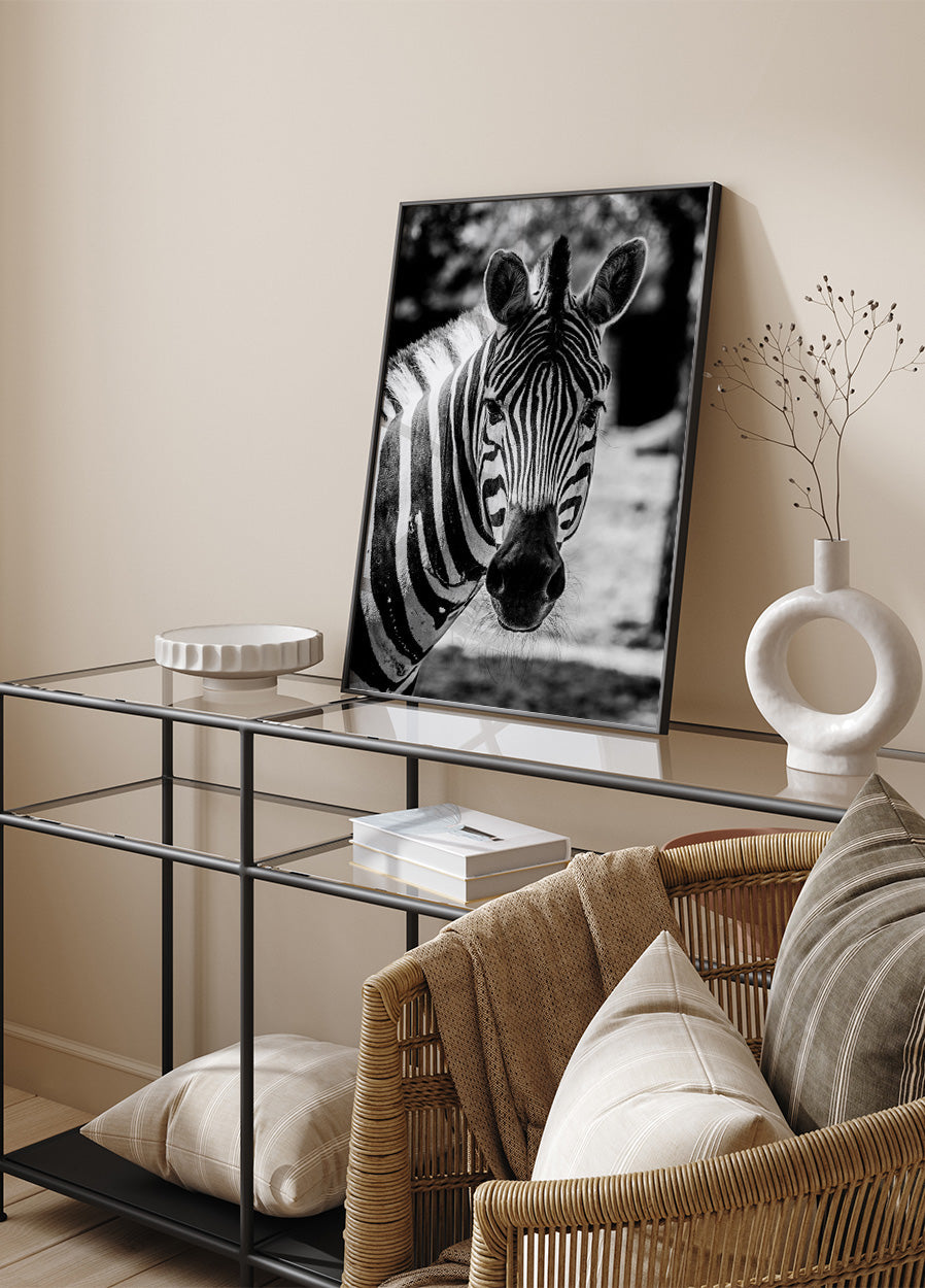 Zebra Plakat - Posterbox.dk