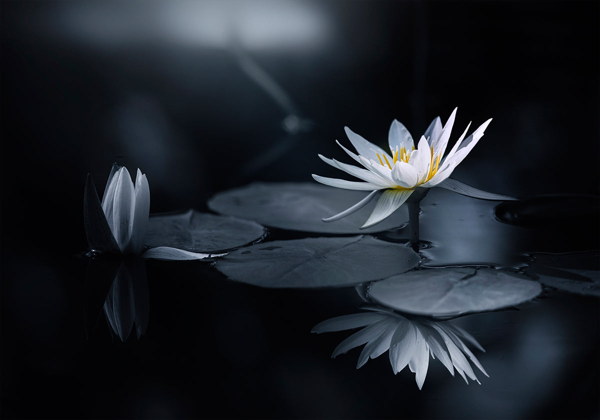 Reflexionsplakat