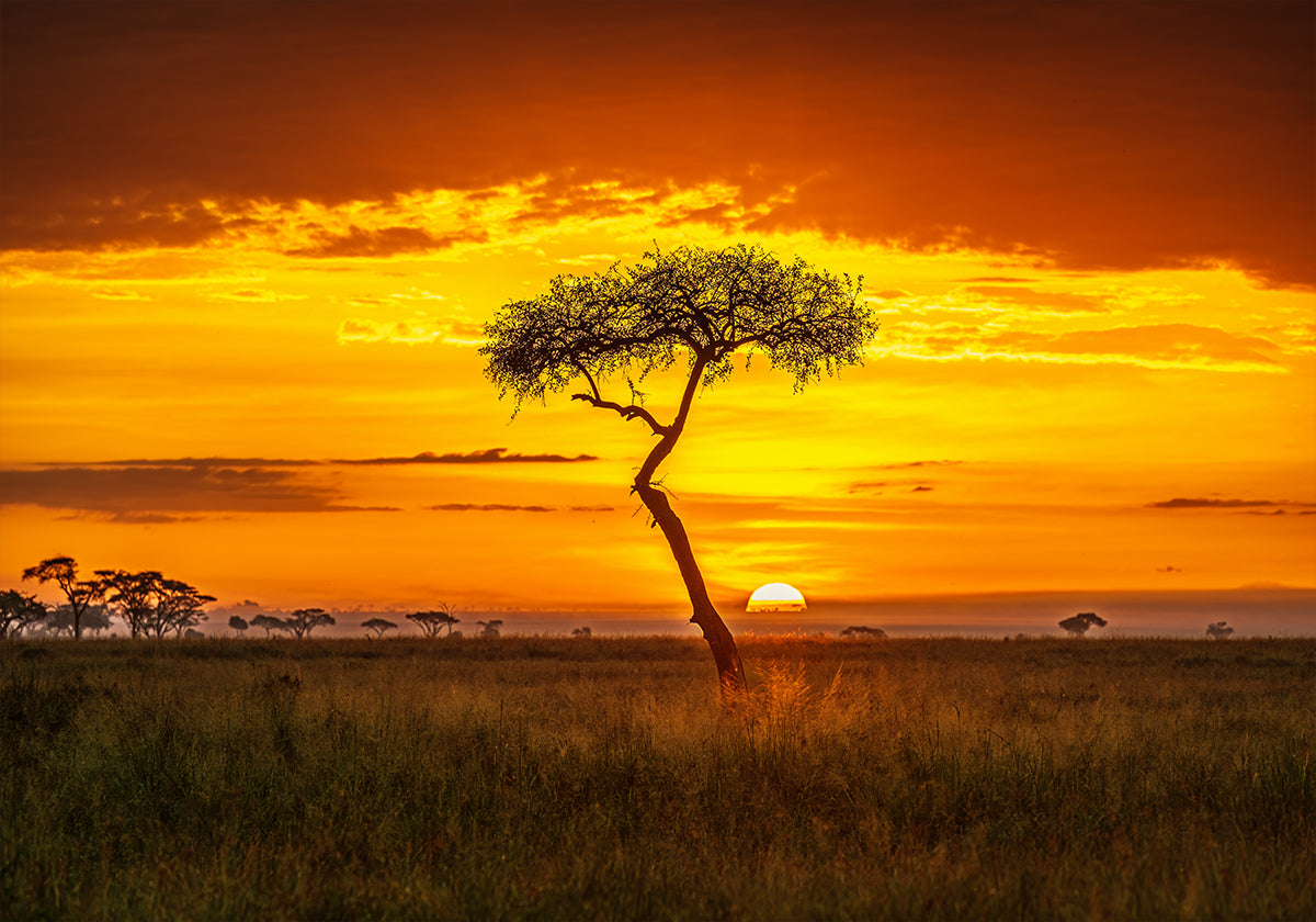 Ursprüngliches Afrika-Plakat