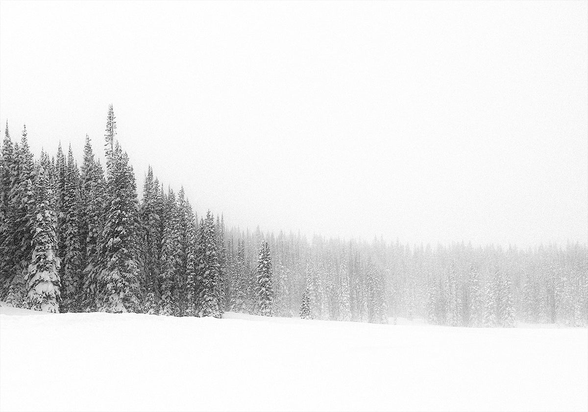 Forest for the Trees Plakat - Posterbox