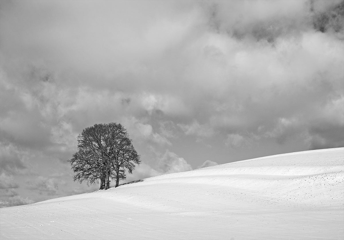 Poster „Ein bewölkter Wintertag“.