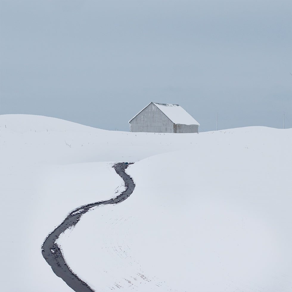 The cabin Plakater - Posterbox