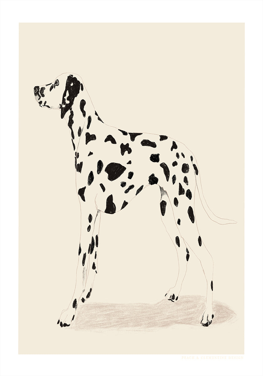 Pandc Dalmation Poster