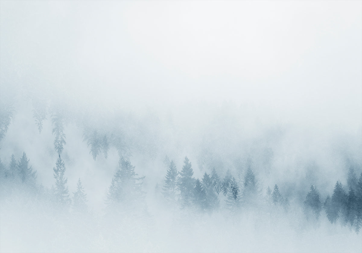 Misty Pines Poster