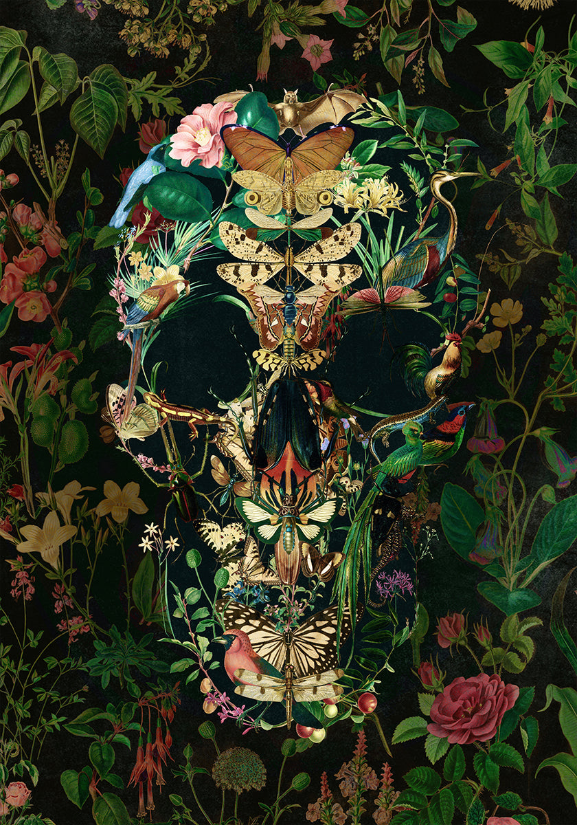 Papillon-Schädel-Poster