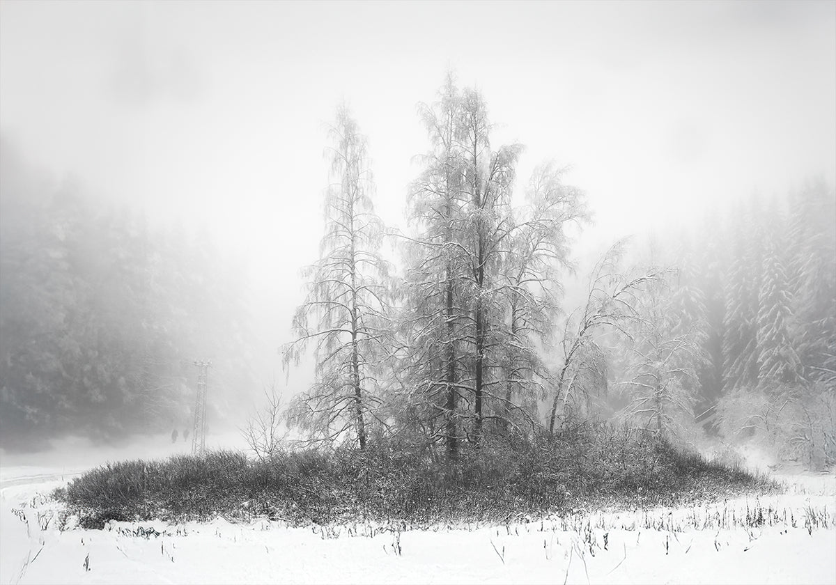 Winter im Berg Poster