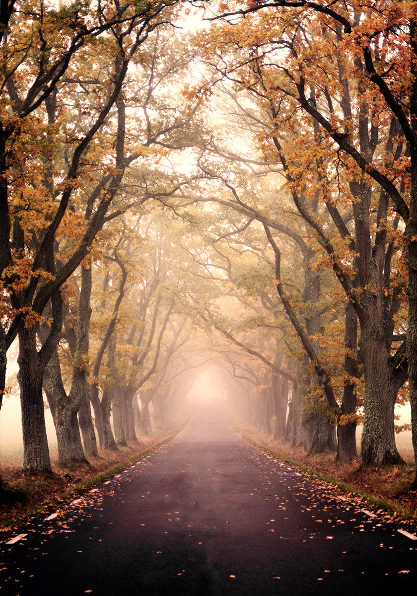 Autumn Avenue-Poster