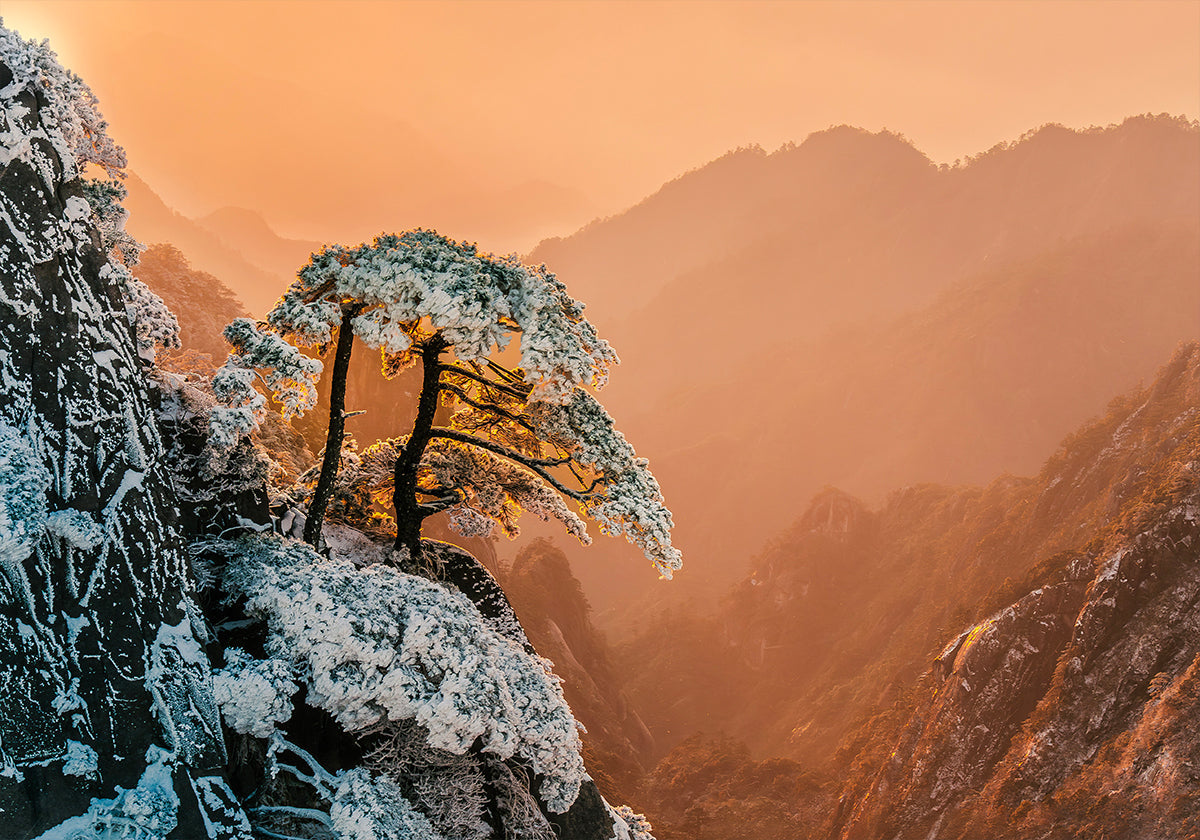 Resilience on the Edge Plakat - Posterbox