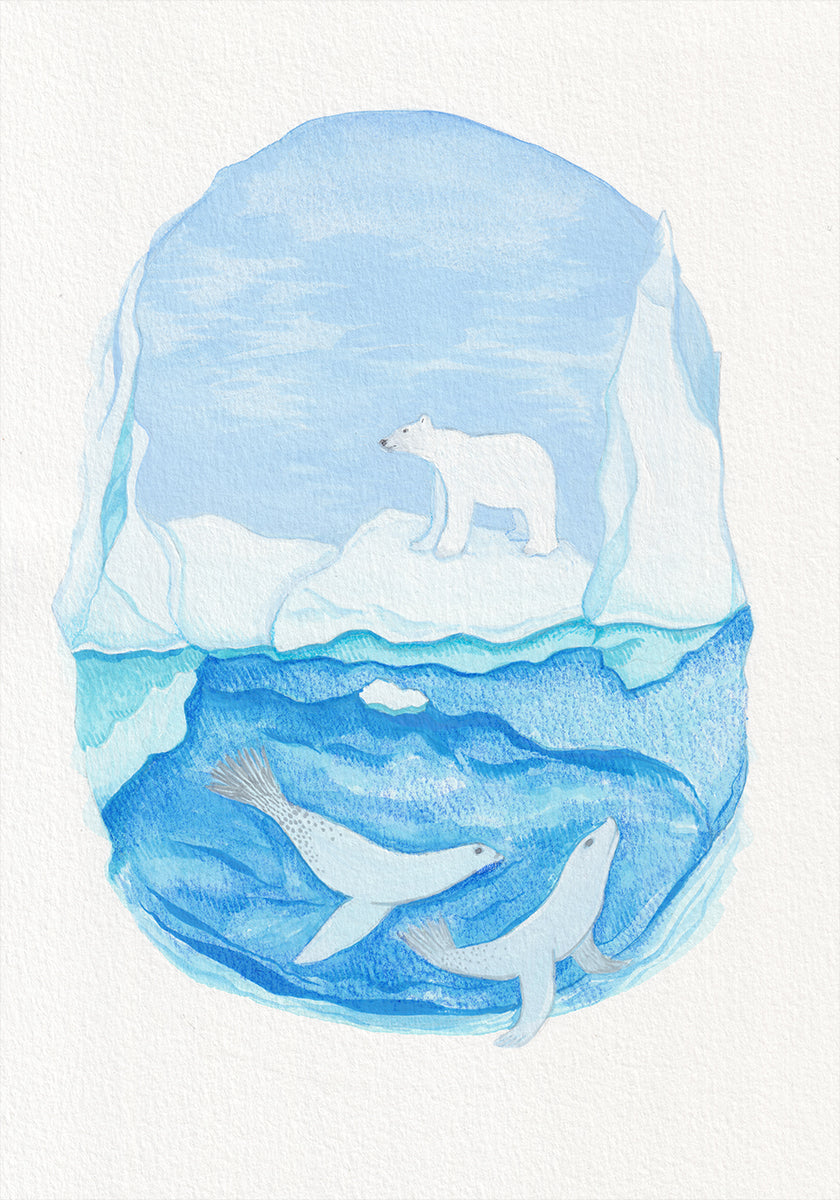 Arktisches Leben – Gefrorene Meere – Eisbär und Robben (NEU)