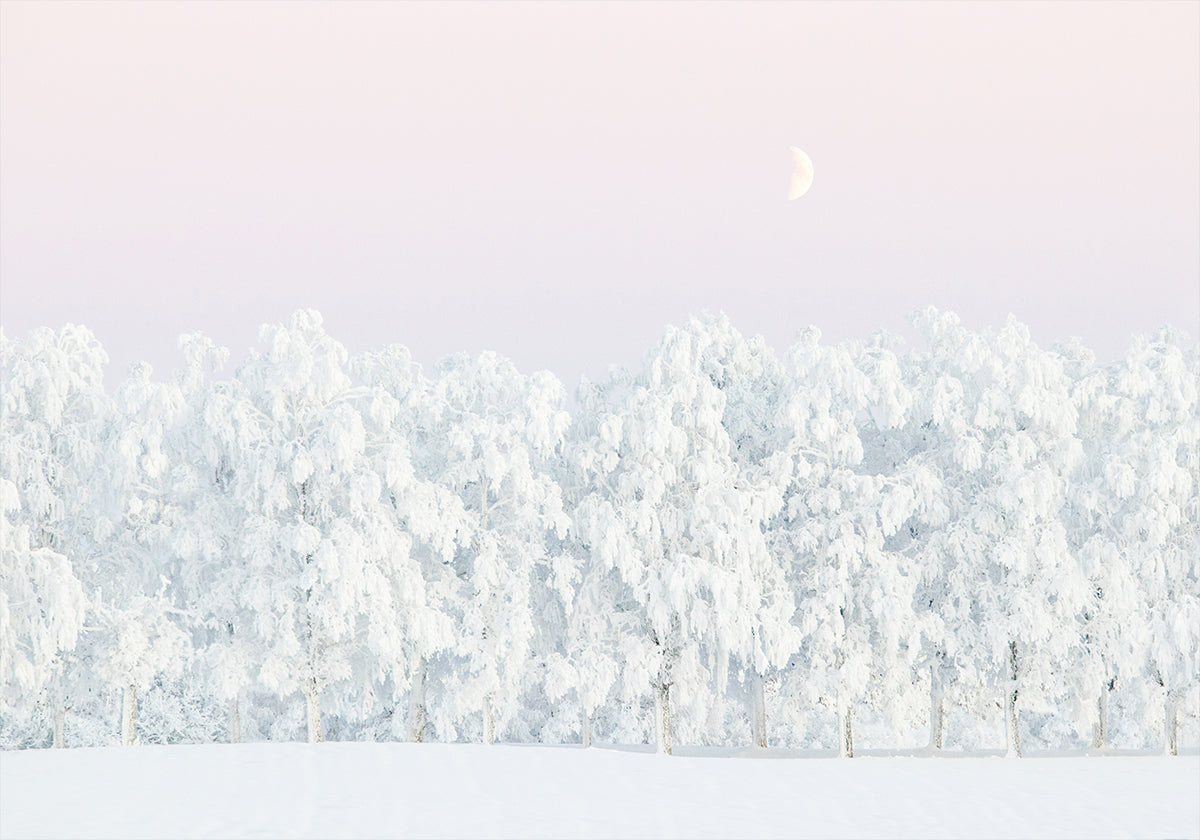 Pink winter magic Plakat