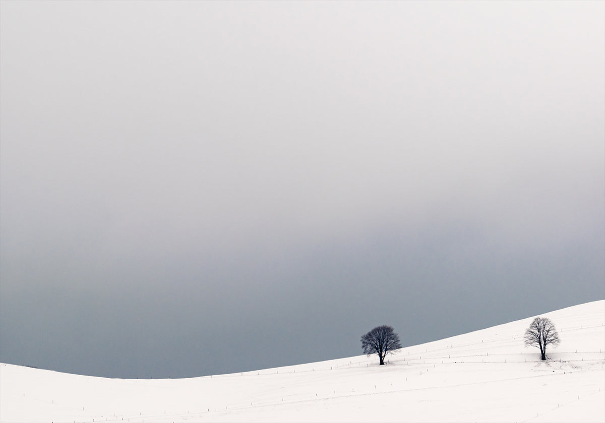 Two Alone Plakat - Posterbox