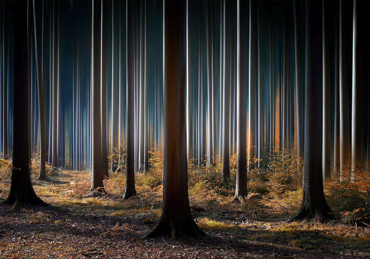 Mystisches Holz