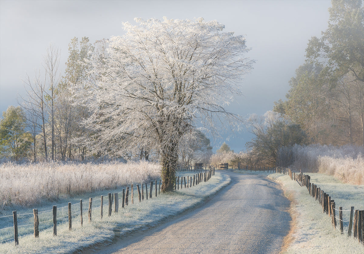Ein frostiges Morgenplakat