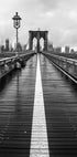 Brooklyn Bridge Walk Plakat - Posterbox.dk