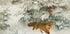 Fox in Winter Landscape By Bruno Liljefors No. 1 Plakat - Posterbox.dk
