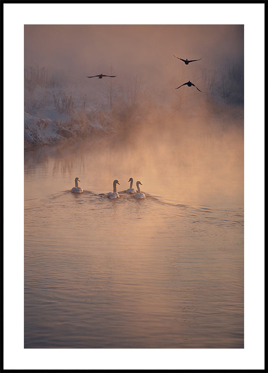 Wo der Nebel nicht hinkam Poster