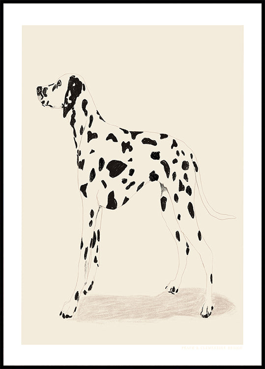 Pandc Dalmation Poster