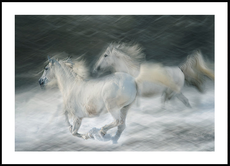 gallop in a duel Plakat - Posterbox