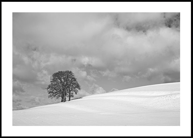 Poster „Ein bewölkter Wintertag“.