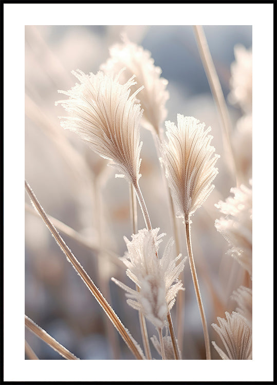 Mattiertes Eleganz-Poster