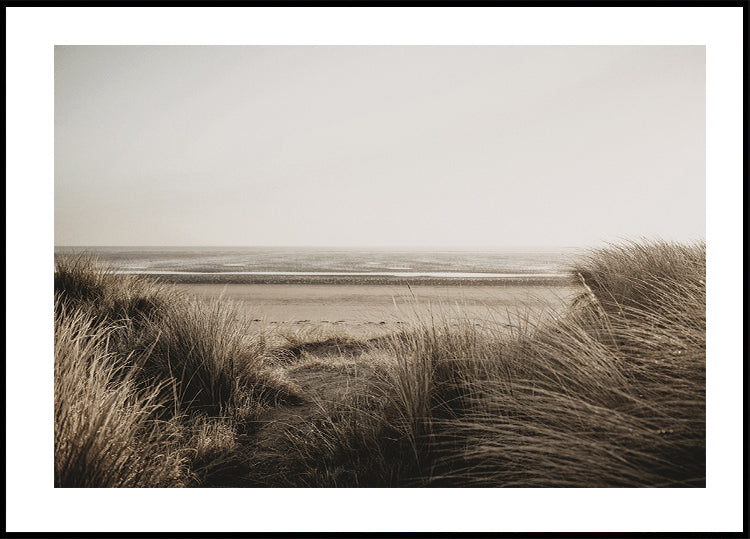 View Of The Beach From Behind The Grass Plakat - Posterbox.dk
