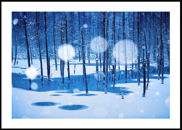 Fairyland Plakat - Posterbox