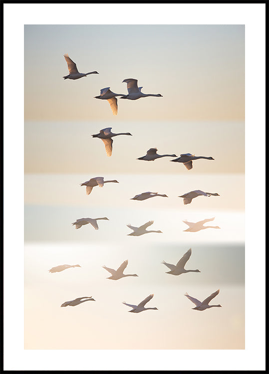 Vorbei an der Sonne.