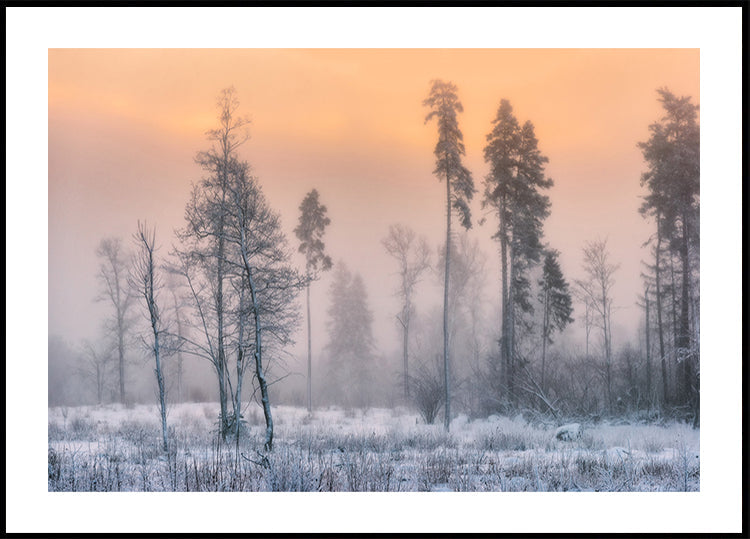 Frosty morning Plakat - Posterbox