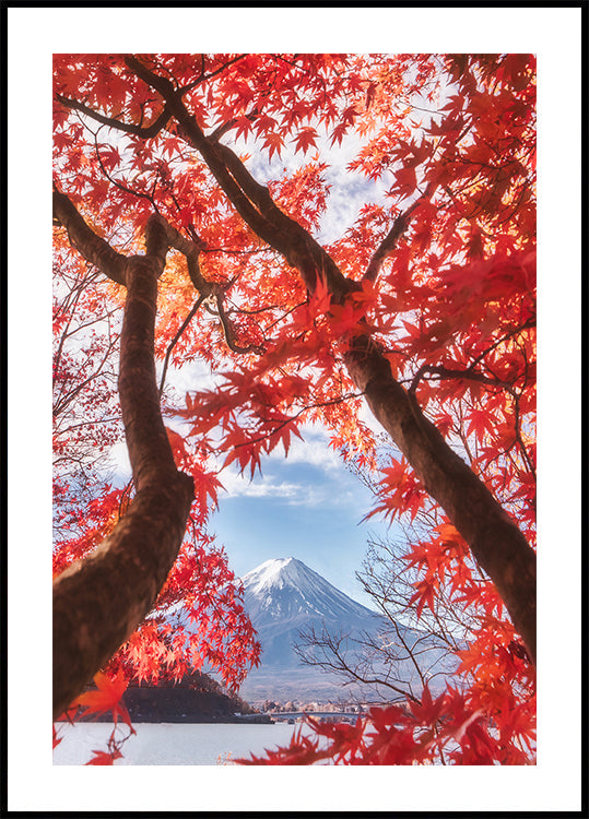 Mt. Fuji ist im Herbstlaub Poster
