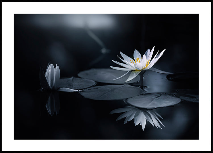 Reflexionsplakat