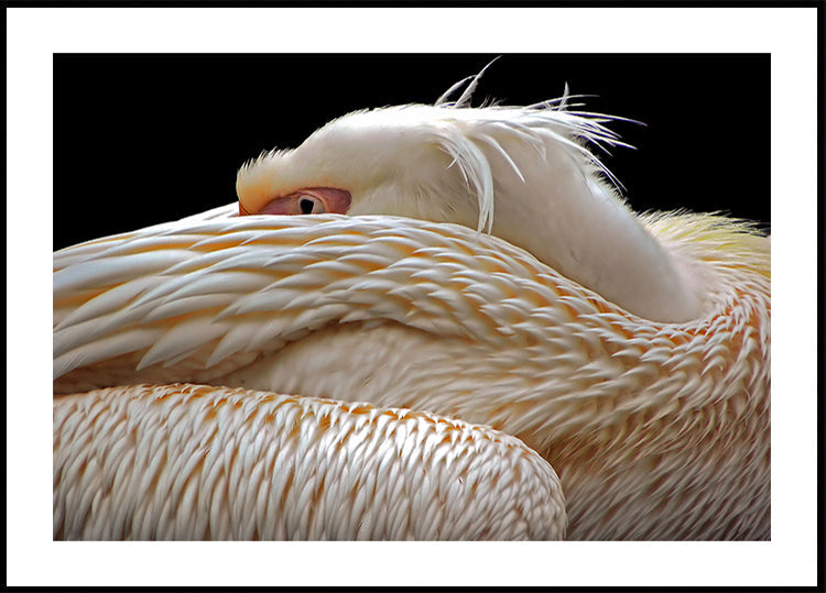 Im Halbschlaf sein...