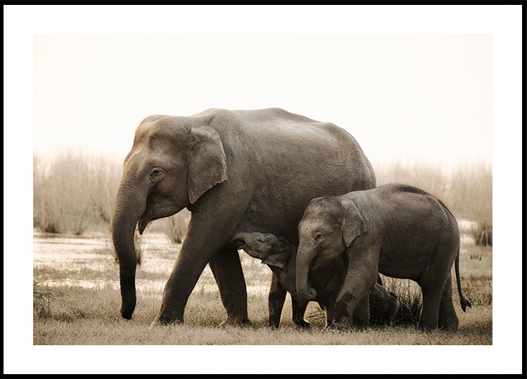 Familienporträt-Poster