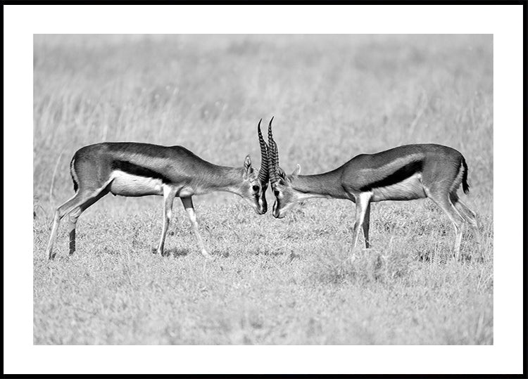 Poster von Angesicht zu Angesicht