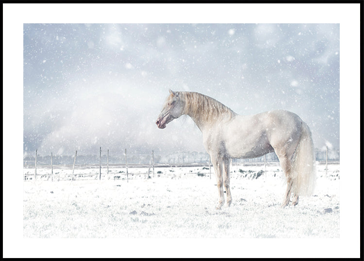 Let it snow... Plakat