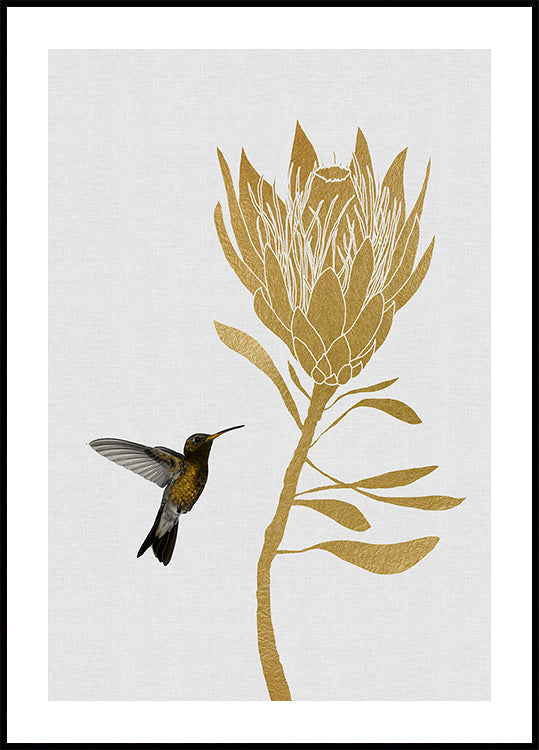 Kolibri und Blume im Poster