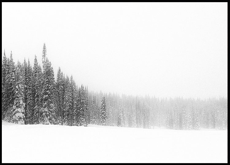 Forest for the Trees Plakat - Posterbox