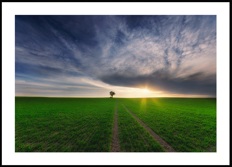 Einzelgänger in der Sonne
